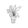 Single hand drawn houseplant. Vector illustration in doodle style