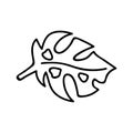 Single hand drawn monsteras leaf. Vector illustration in doodle style. Isolated on a white background. Summer vibe