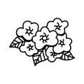 Single hand drawn primrose flower. Vector illustration in doodles style. Isolate on a white background