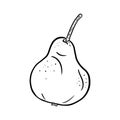 Single hand drawn ripe pear isolated on white background. Royalty Free Stock Photo