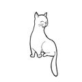 Single hand drawn sitting cat. In doodle style, black outline isolated on a white background. Cute element for card, social media Royalty Free Stock Photo