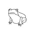 Single hand drawn toad. Funny frog. Vector illustration in doodle style. Isolate on a white background