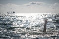 Single hand of drowning man in sea asking for help Royalty Free Stock Photo