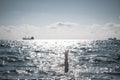 Single hand of drowning man in sea asking for help Royalty Free Stock Photo