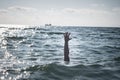 Single hand of drowning man in sea asking for help Royalty Free Stock Photo