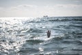 Single hand of drowning man in sea asking for help Royalty Free Stock Photo