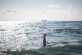 Single hand of drowning man in sea asking for help Royalty Free Stock Photo