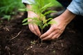 a single hand planting a tree sapling