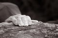 Single hand - Rock climbing series