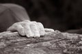 Single hand - Rock climbing series Royalty Free Stock Photo