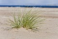 Single hassock in sand