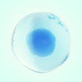 Single human or animal cell on blue background. 3d illustration.