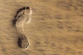 Single human barefoot footprint of left foot in brown yellow sand beach background, summer vacation or climate change concept