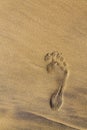 Single human barefoot footprint of right foot in brown yellow sand beach background, summer vacation or climate change concept