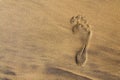 Single human barefoot footprint of right foot in brown yellow sand beach background, summer vacation or climate change concept