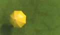 Single human under yellow umbrella on the green lawn covered with grass. Top view. Illustration with copy space. 3D rendering