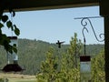 A hummingbird seems to float beside the feeder Royalty Free Stock Photo