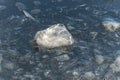 Single ice fragment. Royalty Free Stock Photo