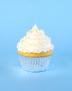 Single iced cupcake Royalty Free Stock Photo