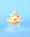 Single iced cupcake with colorful sprinkles Royalty Free Stock Photo