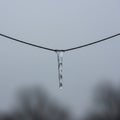 A single icicle hangs from a thin, black wire against a softly blurred background. The Royalty Free Stock Photo