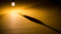 Single incandescent light bulb casting a long, dramatic shadow on a warm, textured surface Royalty Free Stock Photo