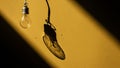 Single incandescent light bulb casting a long shadow on a yellow wall Royalty Free Stock Photo