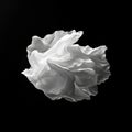 Single Intricate Cloud with Folds and Layers in Black and White Royalty Free Stock Photo