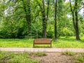 Single isolated bench in a park with green trees in the background Royalty Free Stock Photo