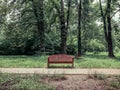 Single isolated bench in a park with green trees in the background Royalty Free Stock Photo