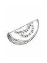 Single Isolated Black And White Line Drawing Of A Watermelon Wedge Royalty Free Stock Photo