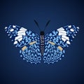 Single isolated colored butterfly Hamadryas blue cracker on a black and blue background.