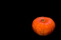 Single isolated pumpkin on black absorbing background with copy space and clipping path. Simplicity. Minimalism. Beautiful autumn