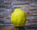 Single isolated yellow Quince fruit on the table Royalty Free Stock Photo