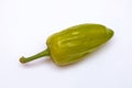 A green chili jalapeno on white background . Single jalapeno pepper on white background