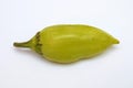 A green chili jalapeno on white background . Single jalapeno pepper on white background