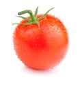 Single Juicy tomato with drops Isolated