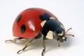 A single ladybug sitting on a white background, with its distinctive red and black shell Royalty Free Stock Photo