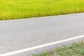 Single lane pathway straight through rice paddy in field farm.