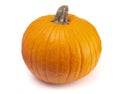 Single Large Orange Pumpkin on a White Background Royalty Free Stock Photo