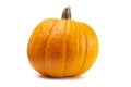 Single Large Orange Pumpkin on a White Background Royalty Free Stock Photo