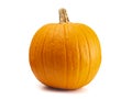 Single Large Orange Pumpkin on a White Background Royalty Free Stock Photo