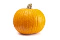 Single Large Orange Pumpkin on a White Background Royalty Free Stock Photo