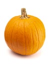 Single Large Orange Pumpkin on a White Background Royalty Free Stock Photo