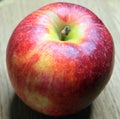 A  single large ripe gala apple, a macro  shot. Beautiful red fruit Royalty Free Stock Photo