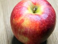 A  single large ripe gala apple, a macro  shot Royalty Free Stock Photo