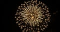 Bright Yellow Firework Bursting in a Dark Night Sky explosion celebration Royalty Free Stock Photo