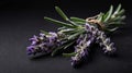 single lavenderherb in a black ai generated Royalty Free Stock Photo