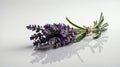 single lavenderherb in a white ai generated Royalty Free Stock Photo