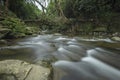 Single layered Living root bridge,Meghalaya,India Royalty Free Stock Photo